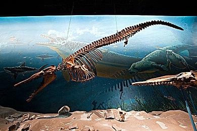 《暗黑地牢2》首个DLC“束缚之刃”正式发售 Steam定价42元