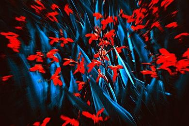 Steam喜加一：肉鸽RPG《Ampersat》限免！